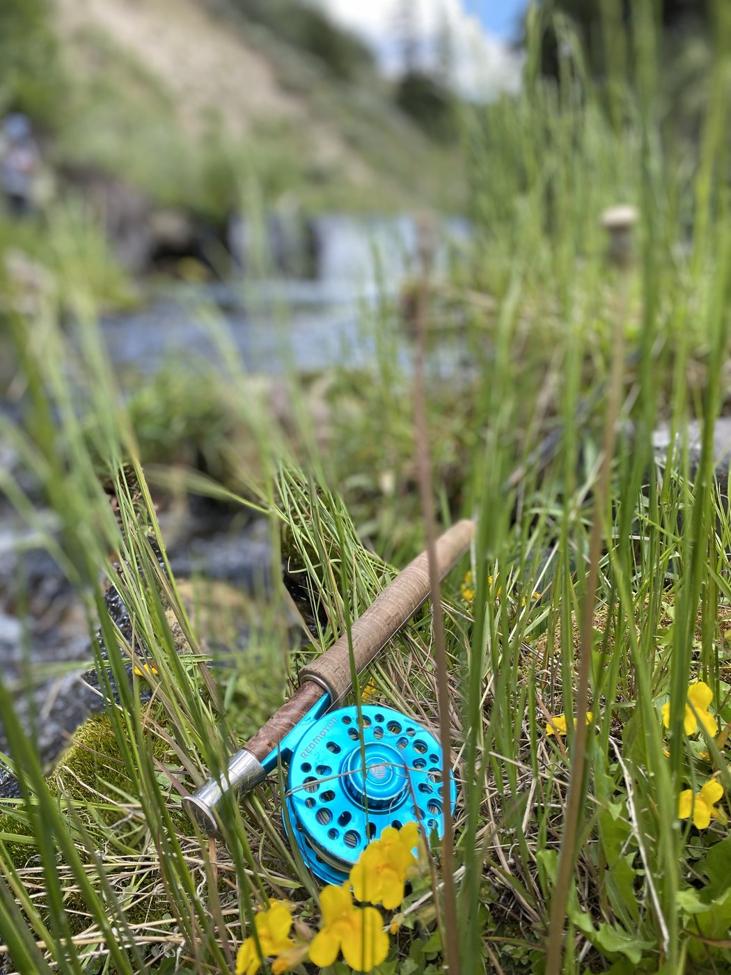 Fly rod and reel resting in riverside grass