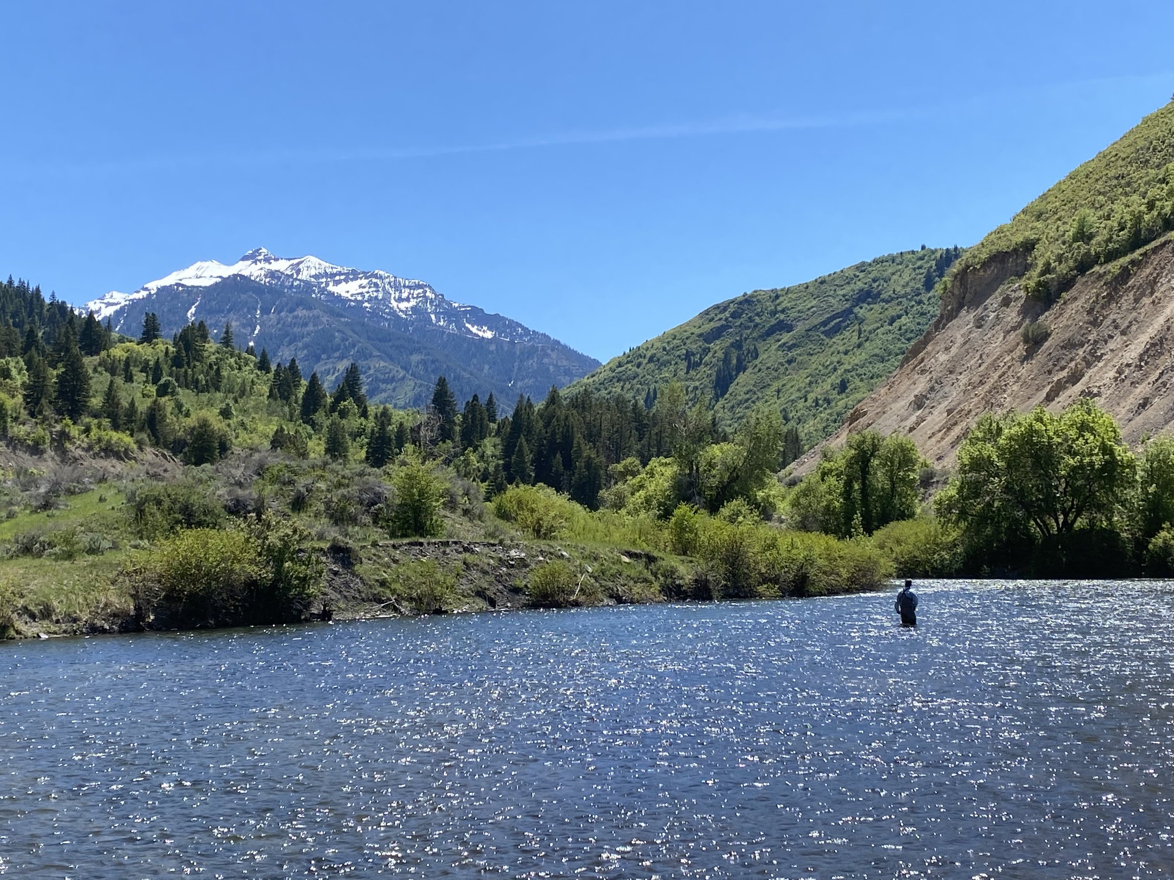 Angler wading a northern Utah river below snow-capped mountains