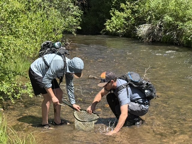 Two anglers releasing a fish in a clear stream