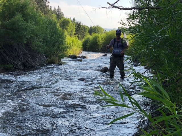 Remote northern Utah stream with an angler wading